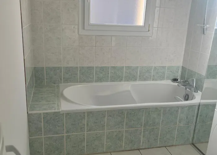 Les Flamants Roses *