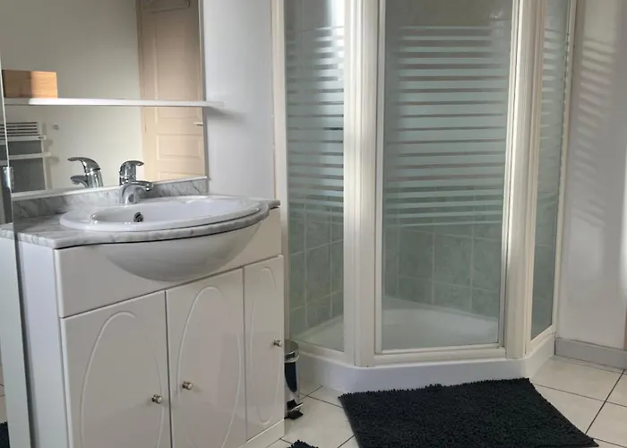 Les Flamants Roses * شاتوبرييّا