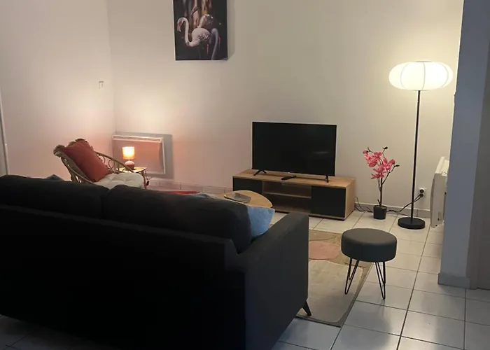 Les Flamants Roses بيت للعطل شاتوبرييّا