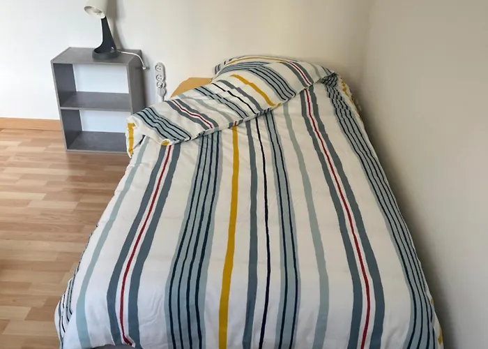 Les Flamants Roses * شاتوبرييّا